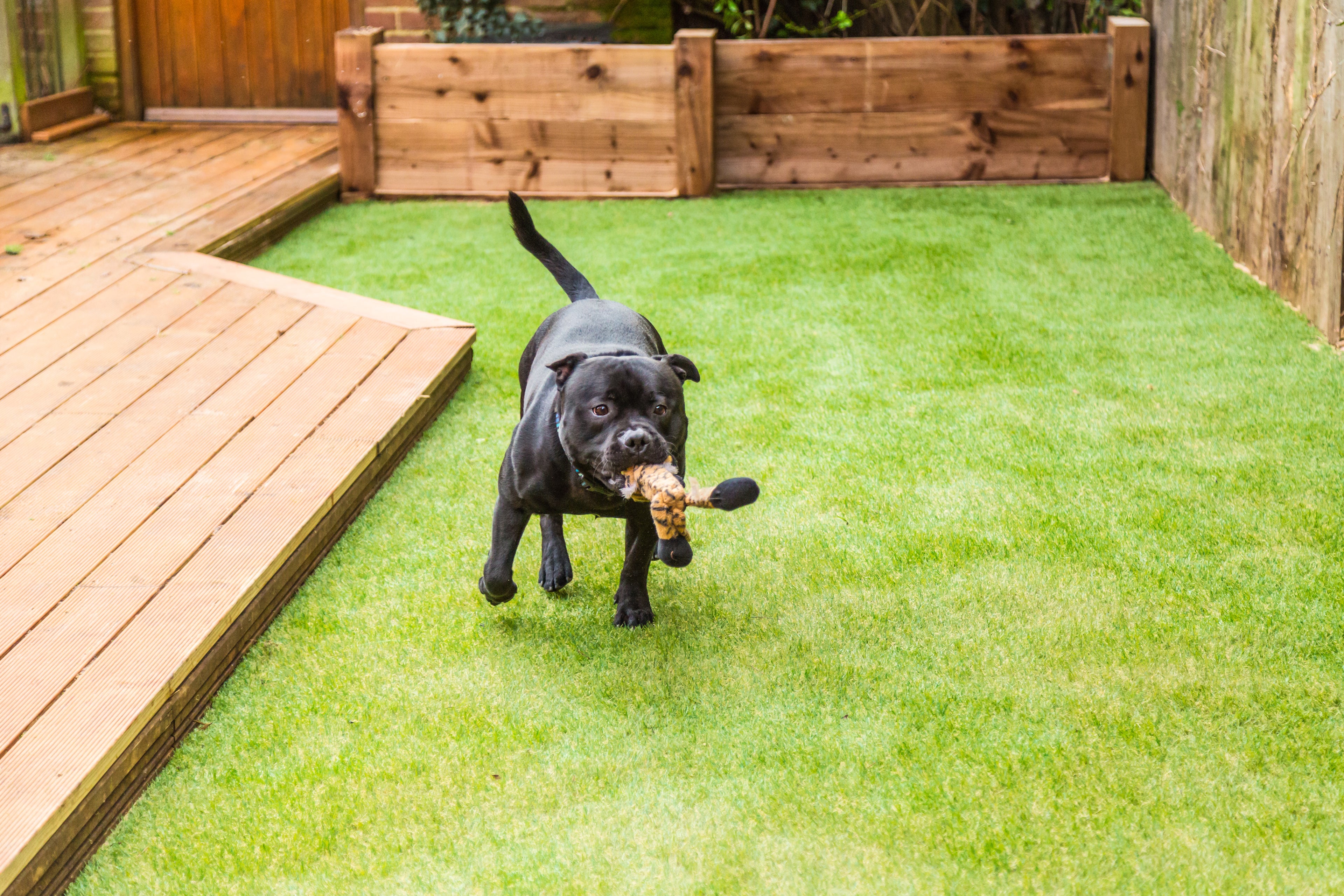 SmartGreen Premium Artificial Grass 40mm